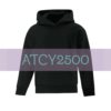 atcy2500
